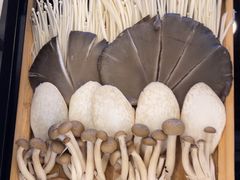 -蝎王府羊蝎子(八里庄店)