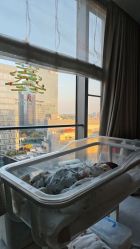 -baby bella小贝拉母婴护理中心(杭州凯宾斯基店)