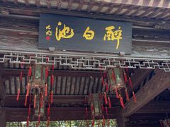 -上海醉白池公园
