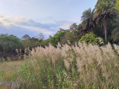 -南国桃园旅游度假区