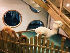 -藦茜花园宠物主题亲子互动体验馆(国顺东路店)