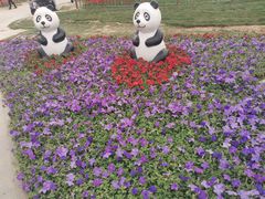 -咸阳湖景区-统一广场