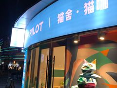 门面-飞行喵MR PILOT|猫舍·猫咖(静安大融城店)