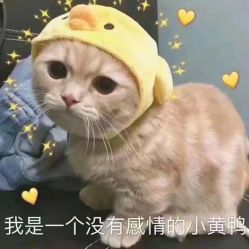 -上海星和医疗美容