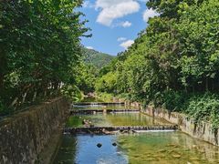 -广州白江湖森林公园