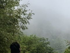 -崂山巨峰游览区