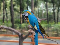 -北京野生动物园