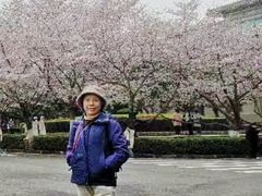 -武汉大学-樱园