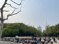 -苏州河梦清园环保主题公园