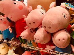 -天虹购物中心(石路店)