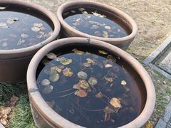 -东关历史文化旅游区-东门遗址