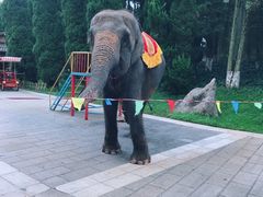 -云南民族村