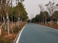 -一品豆花(光谷天地店)