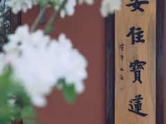 -天津市峰山药王古寺