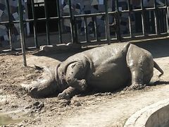 -哈尔滨北方森林动物园
