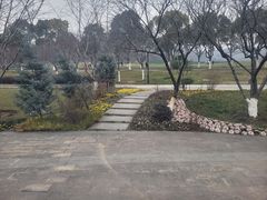 -羊山湖公园