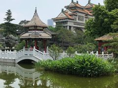-顺峰山公园