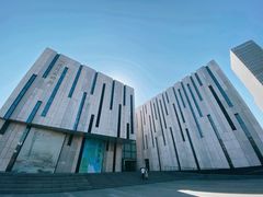 -江苏省美术馆(长江路新馆)