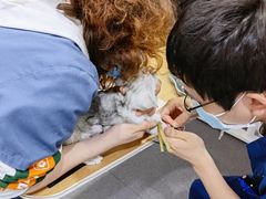 -伟伟宠物医院·CT影像中心·瑞派犬猫综合性门诊(汉口总院)