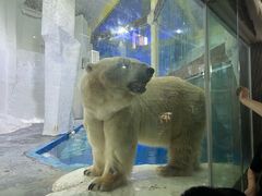 -杨铭宇黄焖鸡(下马坊店)