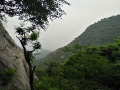 -北京鹫峰国家森林公园