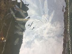 -海上驿站渔家菜馆