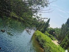 -长白岛森林公园