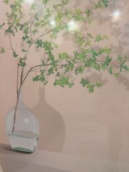 -禾壹净·素颜美问题肌肤修护中心