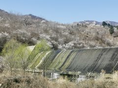 -碓臼峪自然风景区