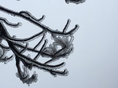 -黄山北海宾馆