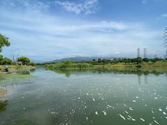 -门城湖公园