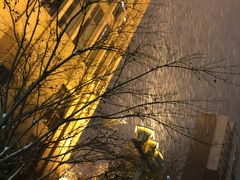 -志龙皇冠吃货椰子铺