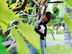 -永定河休闲森林公园