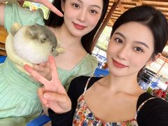 -肆月河豚·淮扬菜·湘菜(华天店)