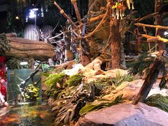 -迪拜水族馆及水下动物园