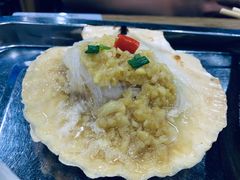 扇贝-老虎滩大连海鲜烧烤(建邺云锦路总店)