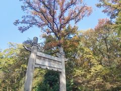 -灵谷景区