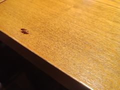 -比格比萨自助(西单明珠餐厅)