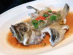 清蒸龙胆-宴南庭·闽味私房菜