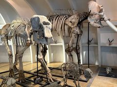 -昆明动物博物馆