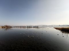 -洱海月湿地公园