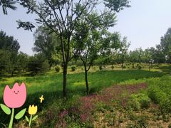 -东郊湿地公园