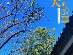 -八大处公园