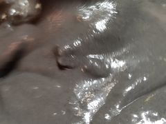 -鞠氏黑芝麻糊(水塔店)