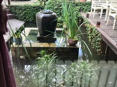 -Local泰莲庭(虹鳟鱼店)