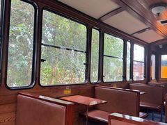 -合肥滨湖国家森林公园