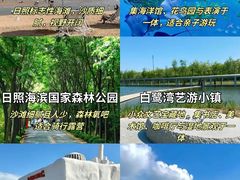 -日照海滨国家森林公园