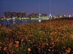 -映月湖中央公园