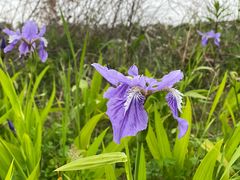 -春花秋色城市公园
