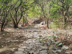 -阳台山自然风景区